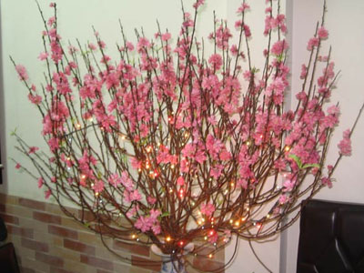 Ảnh bìa bài viết 422588