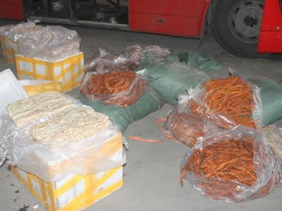 Ảnh bìa bài viết 423163