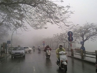Ảnh bìa bài viết 423303