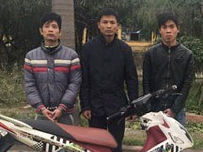 Ảnh bìa bài viết 424324