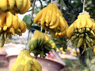 Ảnh bìa bài viết 424874