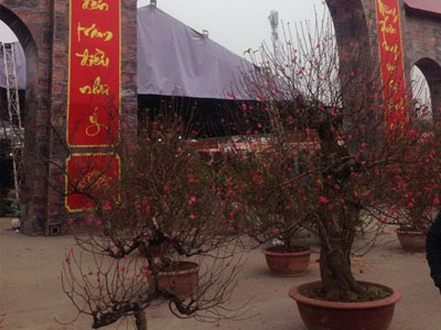 Ảnh bìa bài viết 425521