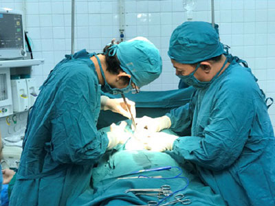 Ảnh bìa bài viết 426421