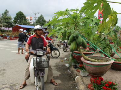 Ảnh bìa bài viết 426600