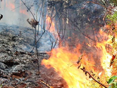 Ảnh bìa bài viết 427348