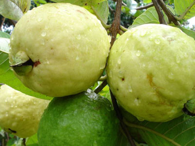 Ảnh bìa bài viết 427826