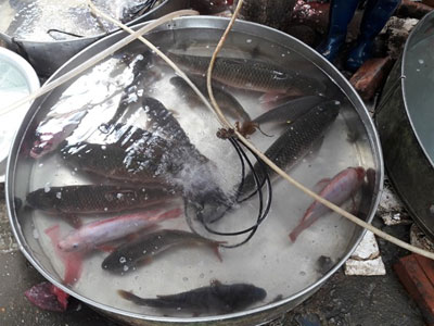 Ảnh bìa bài viết 427854