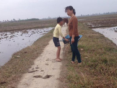 Ảnh bìa bài viết 428346