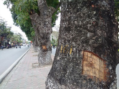 Ảnh bìa bài viết 429822