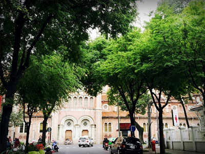 Ảnh bìa bài viết 429851