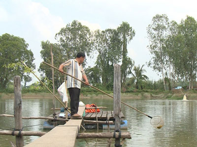 Ảnh bìa bài viết 429977