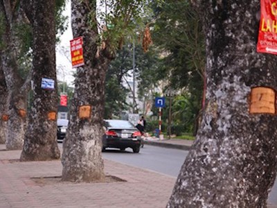 Ảnh bìa bài viết 430287