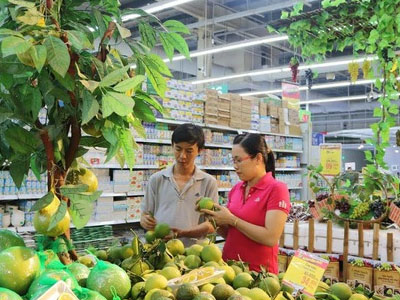 Ảnh bìa bài viết 430994