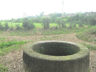 Ảnh bìa bài viết 431148