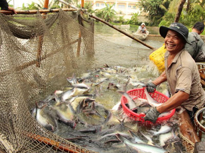 Ảnh bìa bài viết 431120