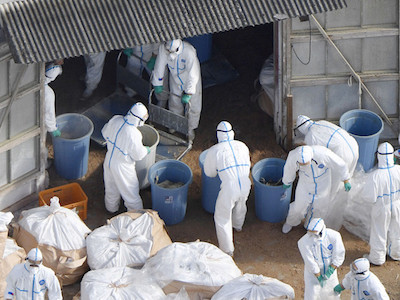 Ảnh bìa bài viết 432361