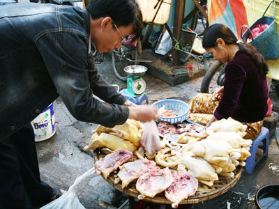 Ảnh bìa bài viết 433783