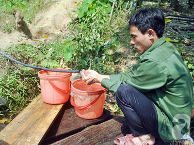 Ảnh bìa bài viết 433735