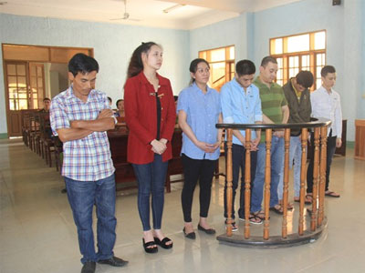 Ảnh bìa bài viết 433939