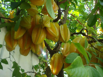 Ảnh bìa bài viết 434377