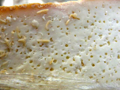 Ảnh bìa bài viết 436716