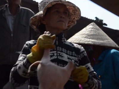 Ảnh bìa bài viết 436621