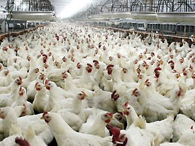 Ảnh bìa bài viết 437348