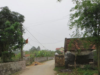 Ảnh bìa bài viết 438461