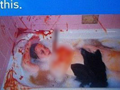 Ảnh bìa bài viết 439276