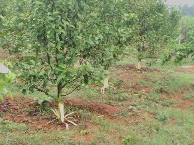 Ảnh bìa bài viết 439420