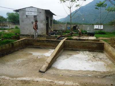 Ảnh bìa bài viết 441142