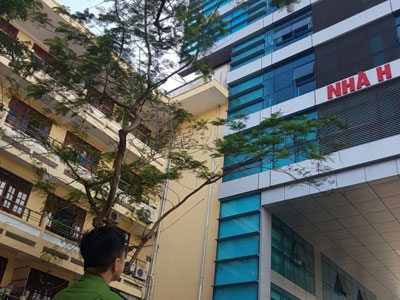 Ảnh bìa bài viết 442619