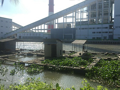 Ảnh bìa bài viết 443571