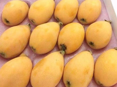 Ảnh bìa bài viết 443435
