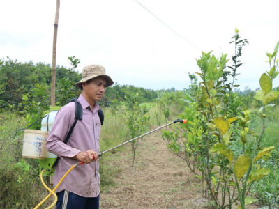 Ảnh bìa bài viết 443649
