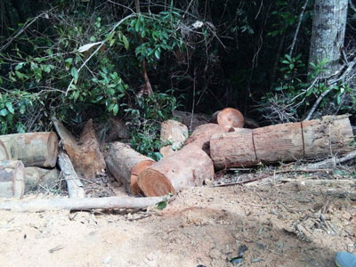 Ảnh bìa bài viết 444899