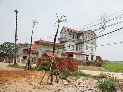 Ảnh bìa bài viết 445720