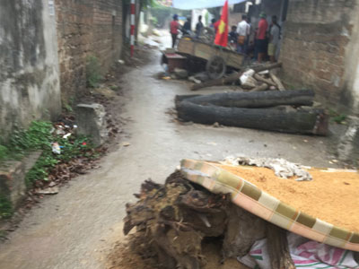 Ảnh bìa bài viết 446674