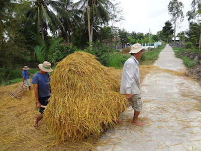 Ảnh bìa bài viết 446656