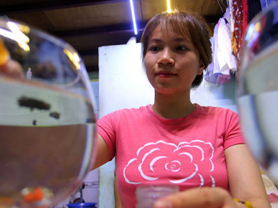 Ảnh bìa bài viết 446797