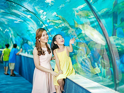 Ảnh bìa bài viết 447326