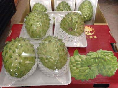 Ảnh bìa bài viết 447313