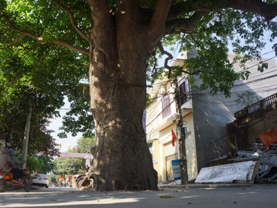Ảnh bìa bài viết 447820