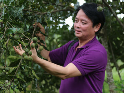 Ảnh bìa bài viết 448036