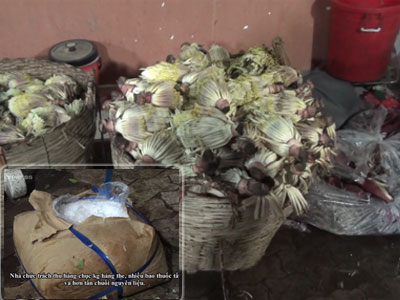 Ảnh bìa bài viết 448585