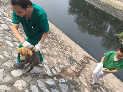 Ảnh bìa bài viết 448814