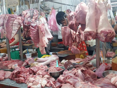 Ảnh bìa bài viết 449060