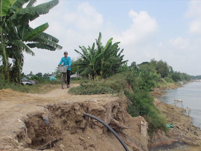 Ảnh bìa bài viết 449296