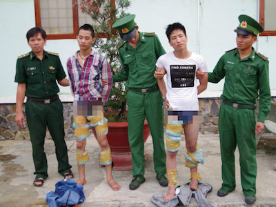 Ảnh bìa bài viết 449631