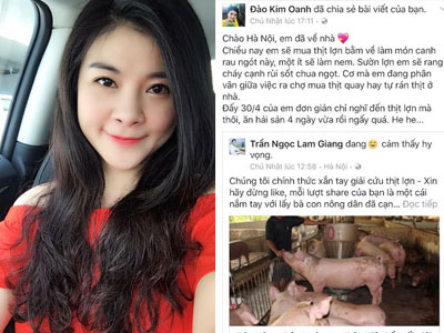 Ảnh bìa bài viết 449750